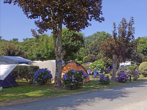 Emplacement - Forfait Confort 80 à 100m² : tente, caravane ou camping-car / 1 voiture / électricité 2 pers.