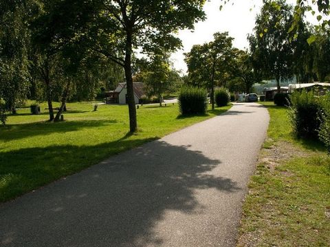 Camping L'Oasis - Camping Bas-Rhin - Image N°14