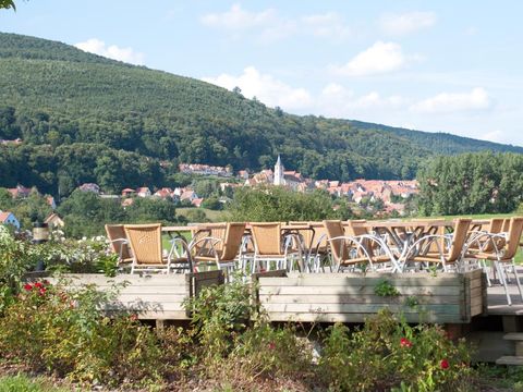 Camping L'Oasis - Camping Bas-Rhin - Image N°12