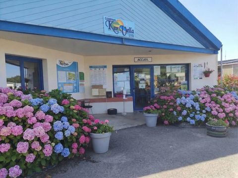 Camping Ker Vella   - Camping Finistère - Image N°24