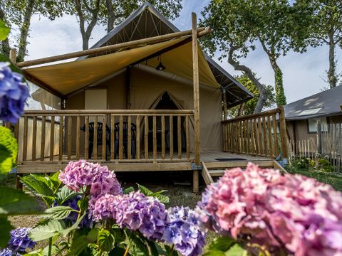 LODGE 6 personnes - JUNGLE Confort 34m² 3 chambres / terrasse couverte + TV