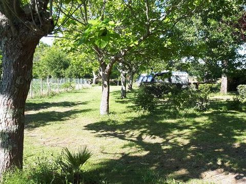 Emplacement - PREMIUM avec électricité