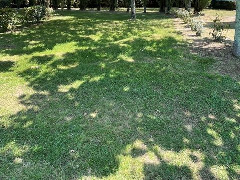 Emplacement - PREMIUM avec électricité