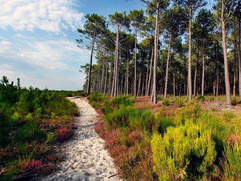 Camping Ushuaïa Villages La Maïade - Camping Landes - Image N°37