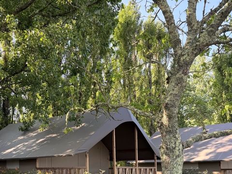 Tente en toile et en bois 5 personnes - Nouveauté 2026 ! - ECOLODGE - PREMIUM