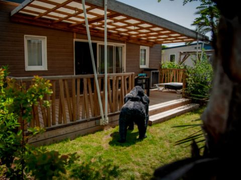 CHALET 6 personnes - Jungle 3 chambres
