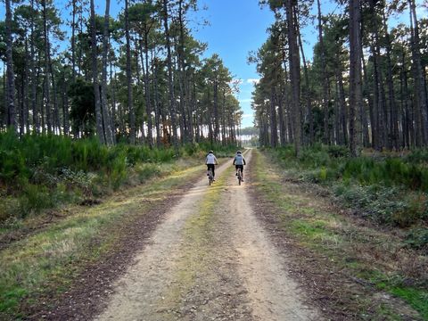Camping Lou Payou - Camping Landes - Image N°13