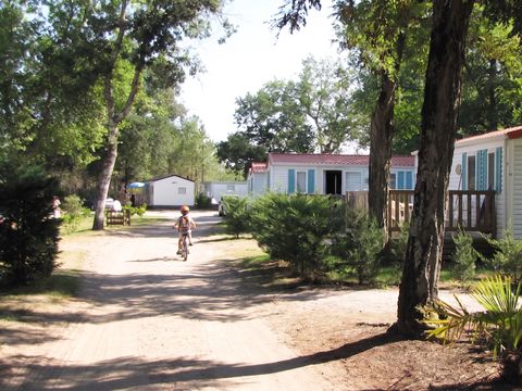 Camping Lou Payou - Camping Landes - Image N°3