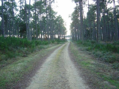 Camping Lou Payou - Camping Landes - Image N°8