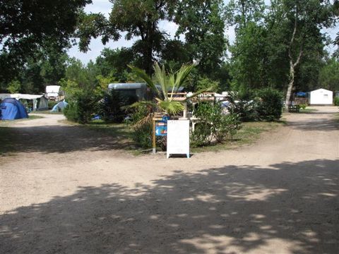Camping Lou Payou - Camping Landes - Image N°7