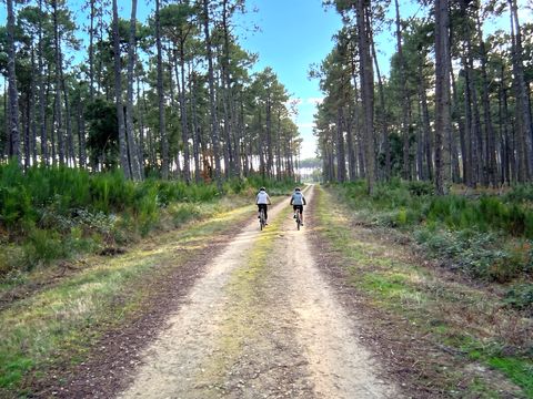 Camping Lou Payou - Camping Landes - Image N°16