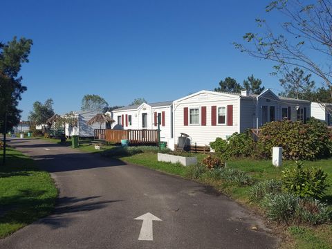 Camping Land's Hause Bungalow - Camping Région de Lisbonne - Image N°18