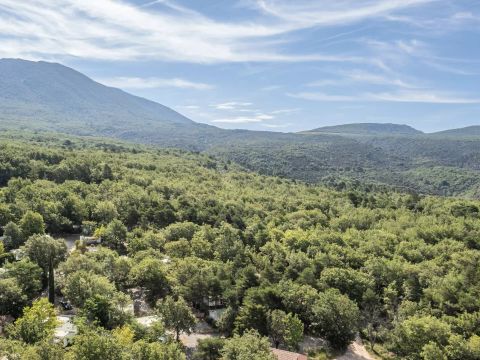 Camping le Domaine de Chanteraine   - Camping Var - Image N°53