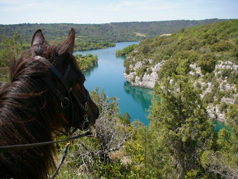 Camping le Domaine de Chanteraine   - Camping Var - Image N°39