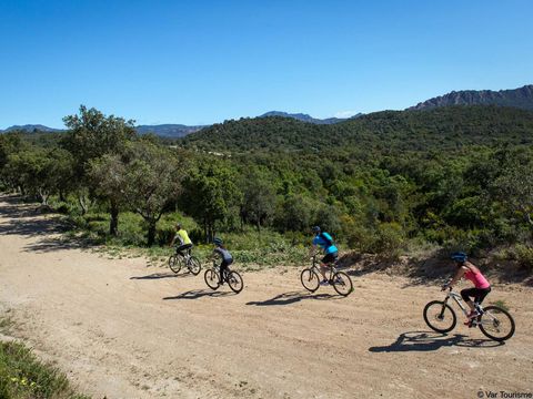 Camping le Domaine de Chanteraine   - Camping Var - Image N°31