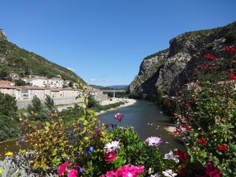 Flower Camping Les Fauvettes - Camping Gard - Image N°11