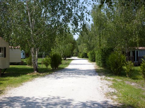 Camping La Rochade - Camping Gironde - Image N°11