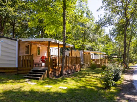 Camping  le Rousieux - Camping Tarn - Image N°3