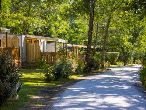 Camping  le Rousieux - Camping Tarn - Image N°22