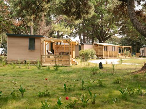 Yelloh! Village - Parc Sainte Brigitte - Camping Loire-Atlantique - Image N°7