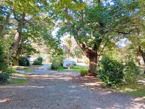 Camping Le Rural - Camping Hautes-Pyrénées - Image N°9