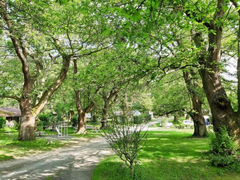 Camping Le Rural - Camping Hautes-Pyrénées - Image N°7