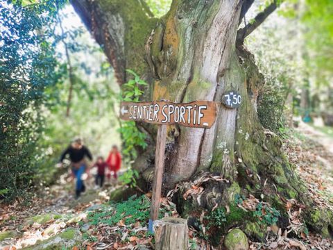 Camping Le Rural - Camping Hautes-Pyrénées - Image N°16