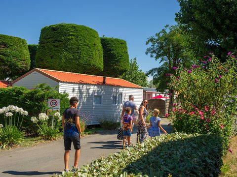 Camping Bontempo La Yole - Camping Vendée - Image N°27