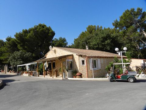 Camping La Montagne - Camping Vaucluse - Image N°16