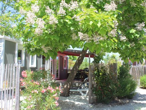 MOBILHOME 6 personnes - Cottage Premium - 3 chambres - 2 salles de bains - Draps, serviettes, plancha, forfait ménage inclus