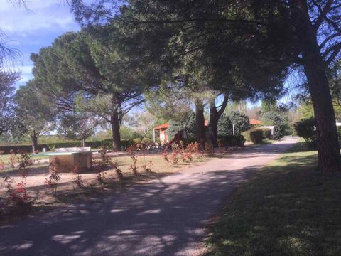 Camping Lou Vincen - Camping Gard - Image N°12
