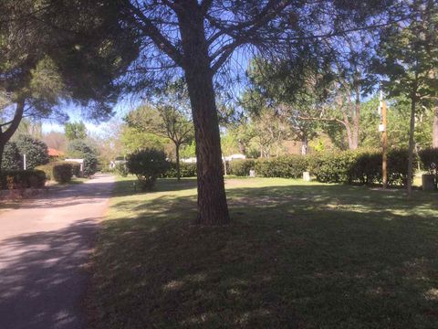 Camping Lou Vincen - Camping Gard - Image N°11