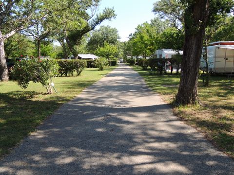 Camping Lou Vincen - Camping Gard - Image N°9