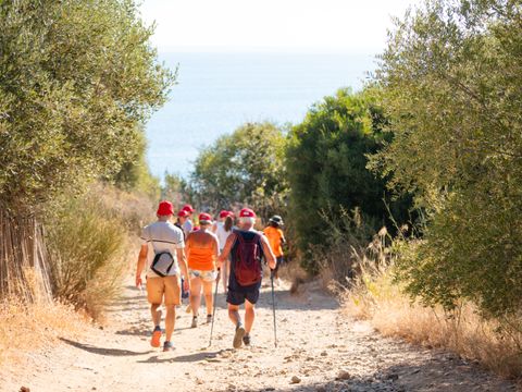 Camping Le Méditerranée Argelès - Camping Pyrénées-Orientales - Image N°59