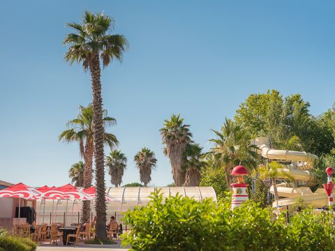Camping Le Méditerranée Argelès - Camping Pyrénées-Orientales - Image N°51