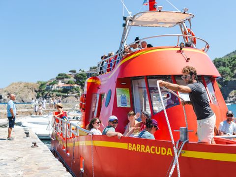 Camping Le Méditerranée Argelès - Camping Pyrénées-Orientales - Image N°60
