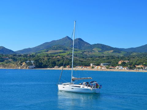 Camping Le Méditerranée Argelès - Camping Pyrénées-Orientales - Image N°31