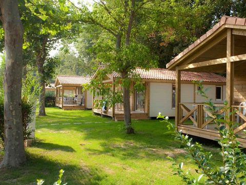 Camping Le Méditerranée Argelès - Camping Pyrénées-Orientales - Image N°26