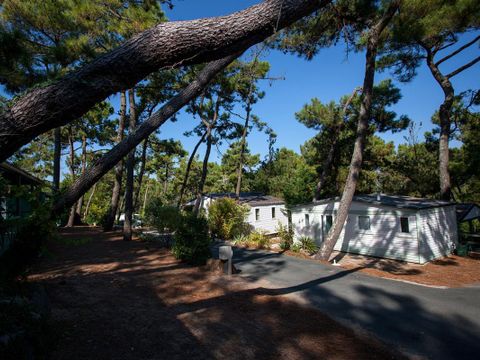 Camping La Siesta  - Camping Vendée - Image N°42