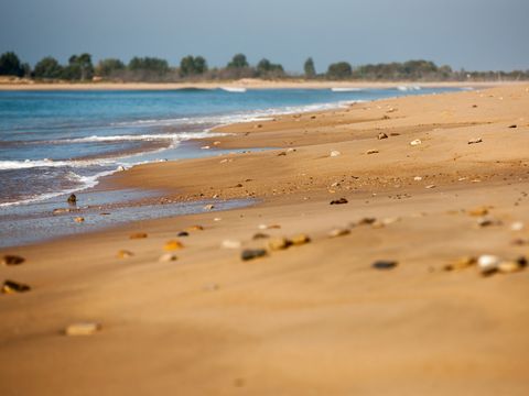 Camping La Siesta  - Camping Vendée - Image N°42