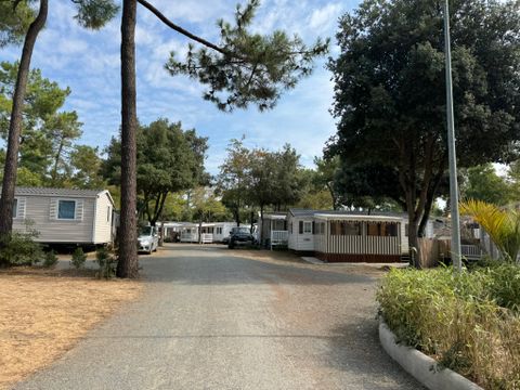 Camping Les Genêts - Camping Vendée - Image N°85