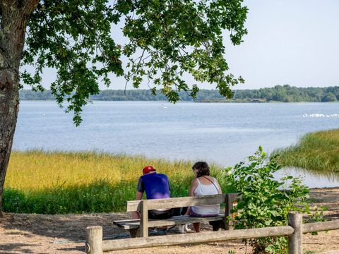Camping Rivages des Landes - Camping Landes - Image N°12
