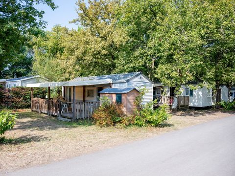 Camping Rivages des Landes - Camping Landes - Image N°6