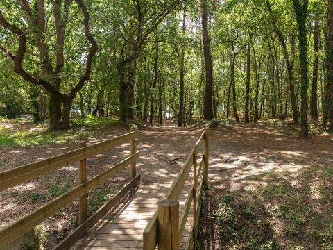 Camping Lou Broustaricq - Camping Landes - Image N°61