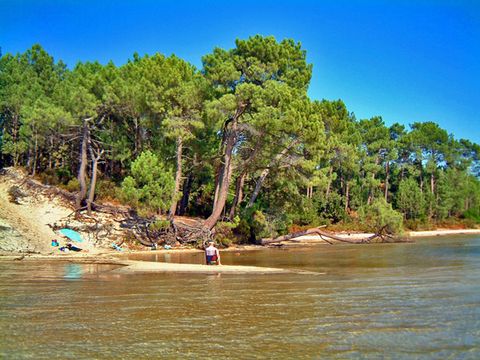 MOBILHOME 4 personnes - 2 chambres - MOBILANDES SANGUINET - Fun pass inclus