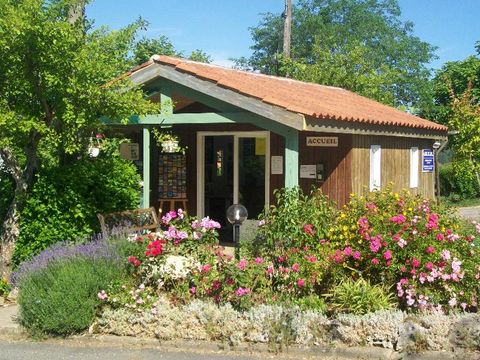 Camping La Bastide - Camping Dordogne - Image N°13
