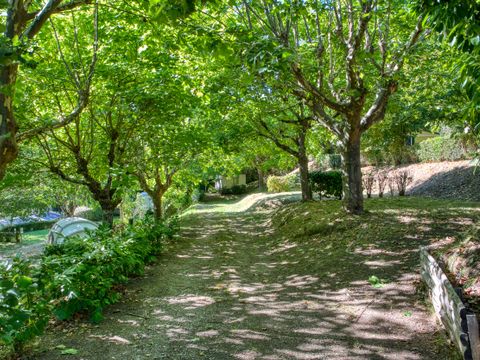 Camping La Bastide - Camping Dordogne - Image N°4