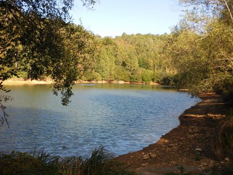 Camping La Bastide - Camping Dordogne - Image N°5