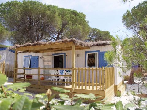 BUNGALOW 8 personnes - A thème - TV - CLIM - WIFI
