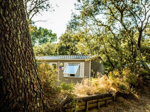 MOBILHOME 6 personnes - Cottage Family